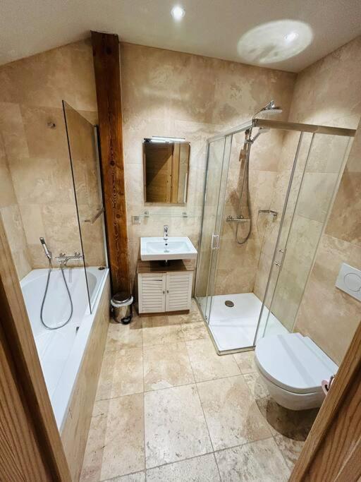 Chalet Rose Морзин Экстерьер фото